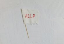 business assistance phone number