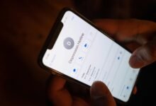 business customer support hotline