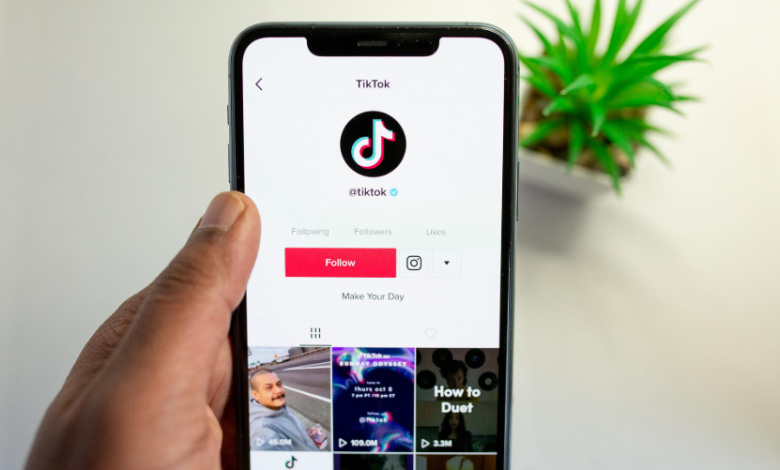 Why TikTok Followers Are the Ultimate Pathway to Fame and Recognition