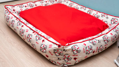 Top Spare Dog Bed Covers for Easy Maintenance and Style