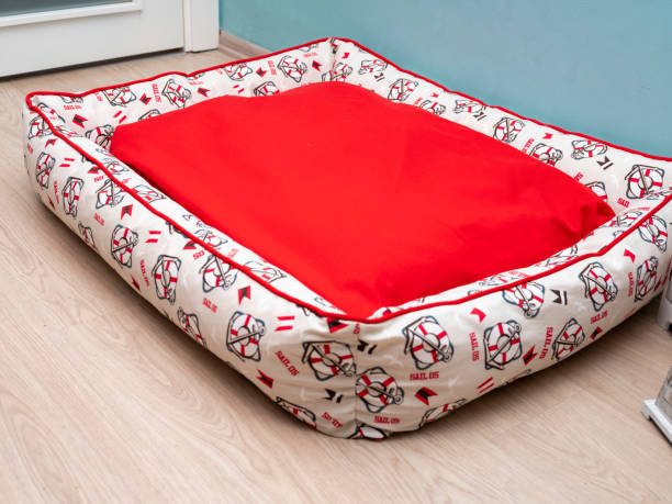 Top Spare Dog Bed Covers for Easy Maintenance and Style