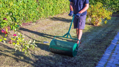 5 Landscaping Hacks That Save Homeowners Money