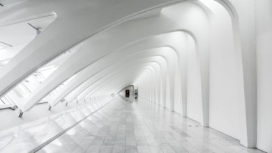 Connecticut Sustainability Conference Announces Brad Palmer as Advisory Board Member