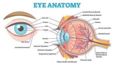 Early Signs of Wet Macular Degeneration and Why Timely Treatment Matters