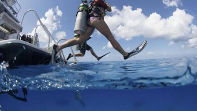 Liveaboard Scuba Dive Trip