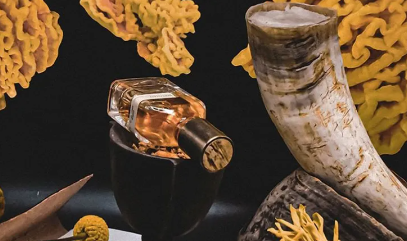 Discover the Allure of Orto Parisi Fragrances for the Modern Minimalist - selman tech || selmantech com || selmantech com app download