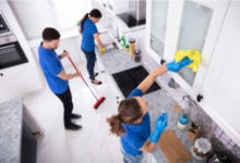 The Sparkling Haven of House Cleaning in Tampa