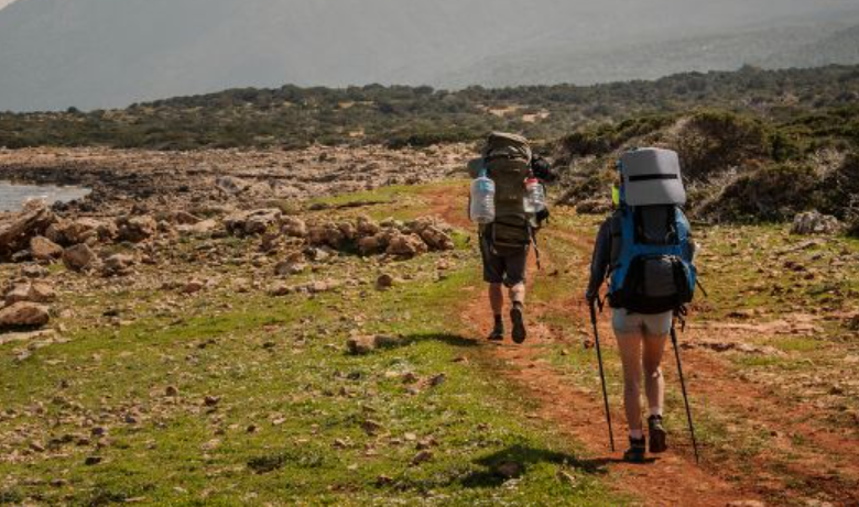 Choosing the Ideal Travel Companion