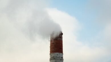 industrial decarbonization