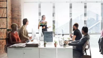 Innovation vs. Stability: Finding the Portfolio Balance