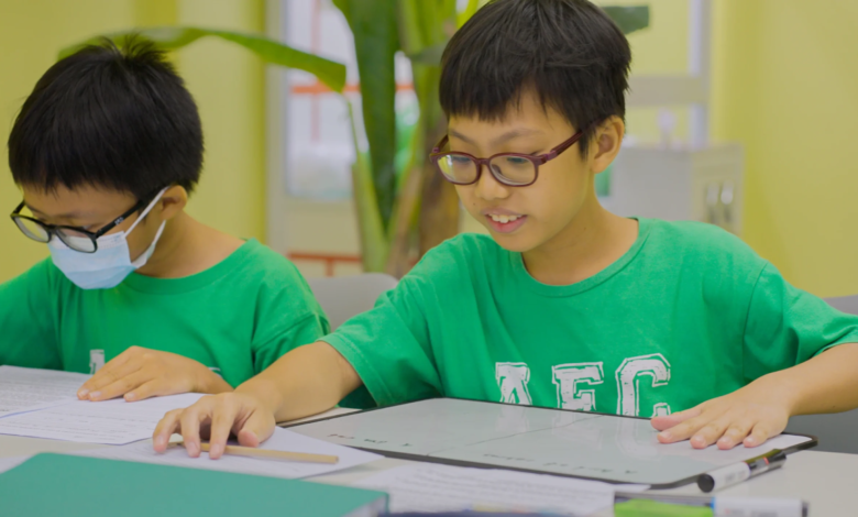 Mastering Primary 6 English: Why Tuition Could Be Your Child's Game-Changer