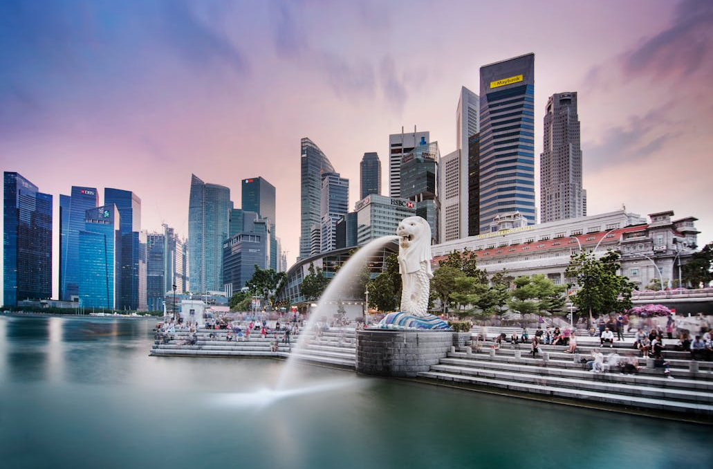 Gateway to Professional Success in Singapore - selman tech || selmantech com || selmantech com app download