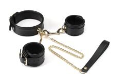 Top 10 Best Collars With Leash Hand Cuffs for Couples in 2026