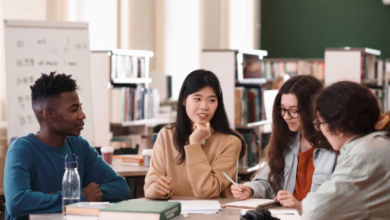 Navigating the Path to Global Education Opportunities