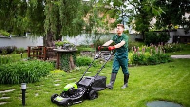 How Can Lawn Mistakes During Cool Seasons Affect Turf Health Later?