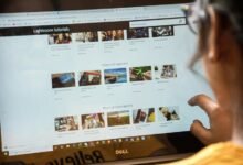 web portals and services validation details