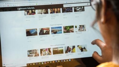 web portals and services validation details