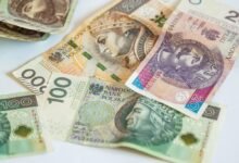 digital income business directory system