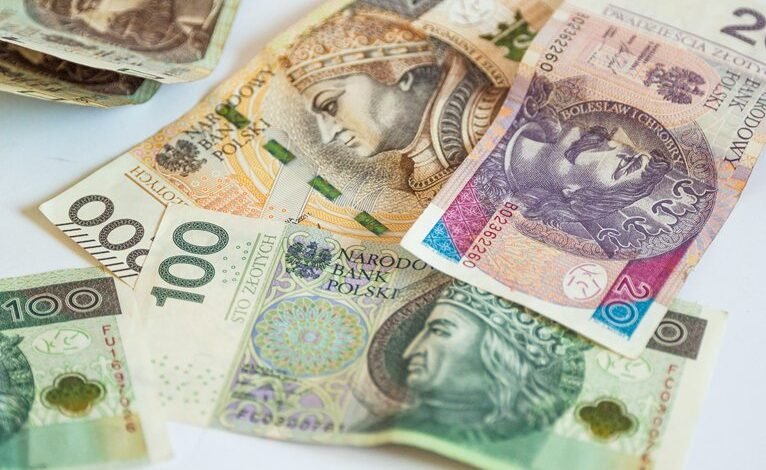 digital income business directory system