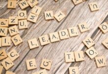 digital strategy authority and guidance