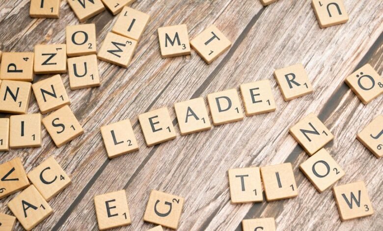 digital strategy authority and guidance