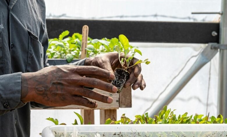 growth builder system identifier code