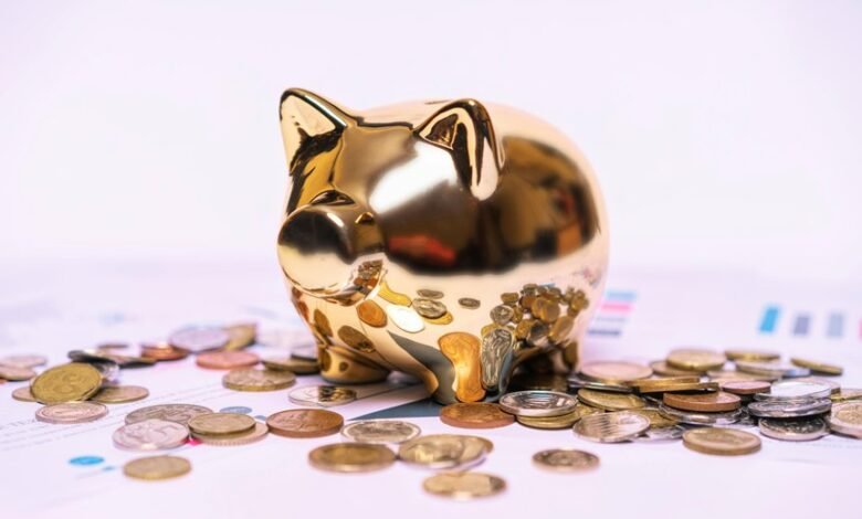 wealth strategy identifier 9136500015