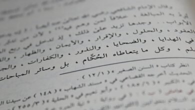 multilingual script and encoded identifiers