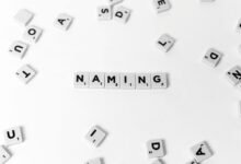 randomized user handles and numbers