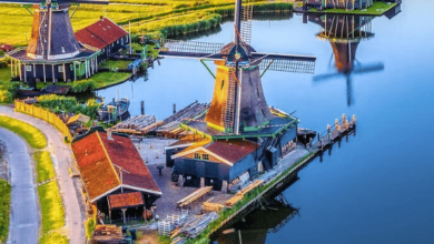 Enhance Your Amsterdam Windmill Tour with a Private Driver Amsterdam