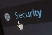 structured records with dubious usernames and topics