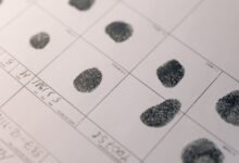 backgrounds of multiple ids under review