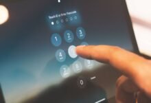 list of phone numbers