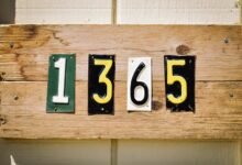 source ids detailed listings